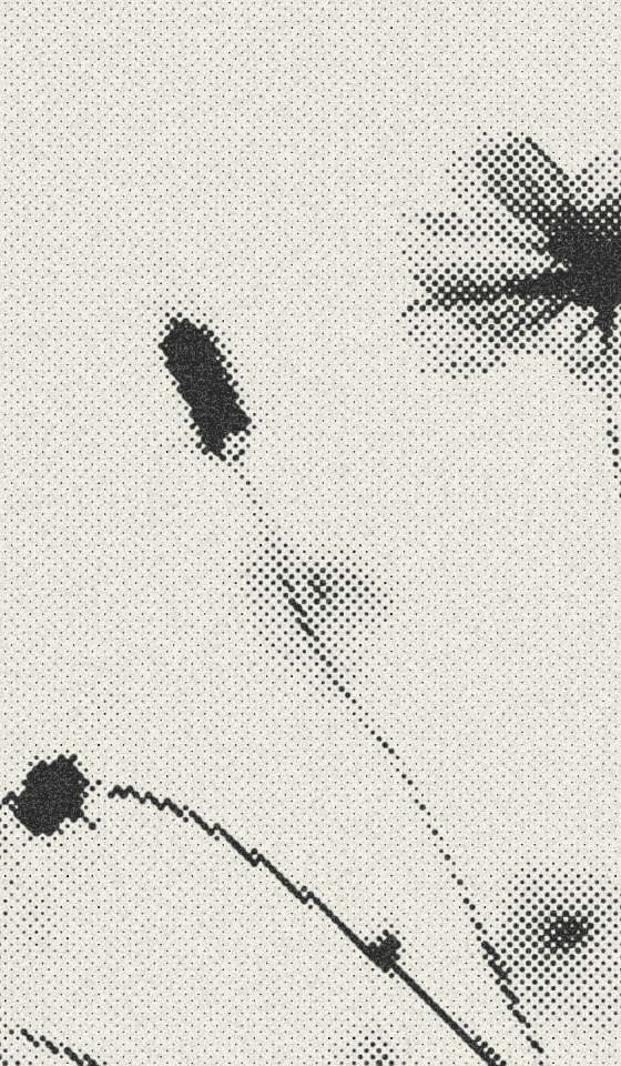 Halftone Dots